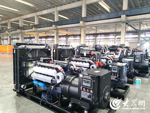 府东街点题，菏泽交出重点项目突破答案——生物质成型燃料销售领航绿色发展